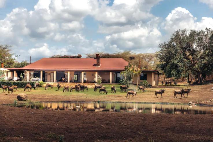 Wildlife Residence Tuvaila 外观 照片